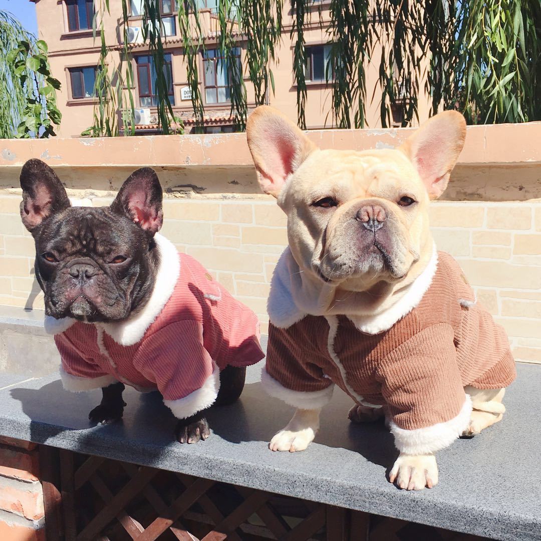 pink fleece dog jacket coat with faux fur collar - Frenchiely