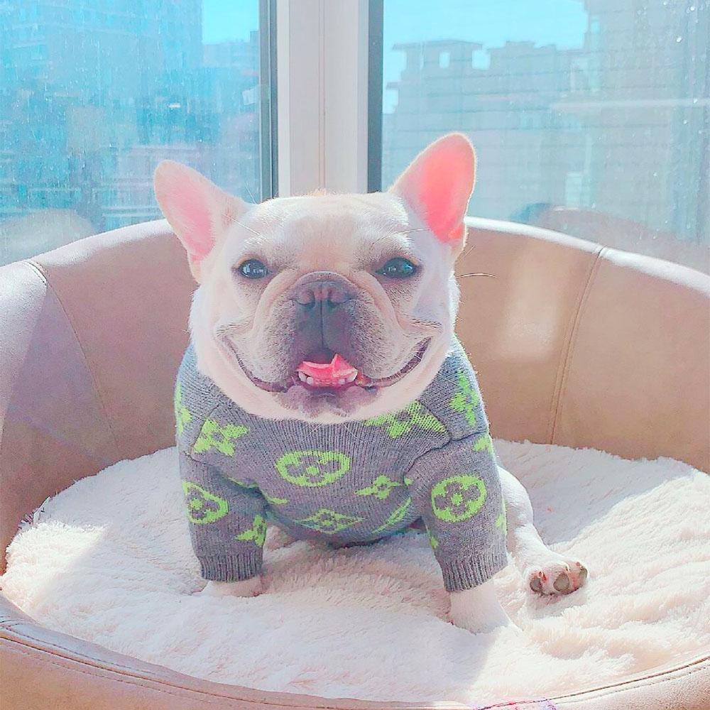 Stylish Dog Pullover Sweater - Frenchiely