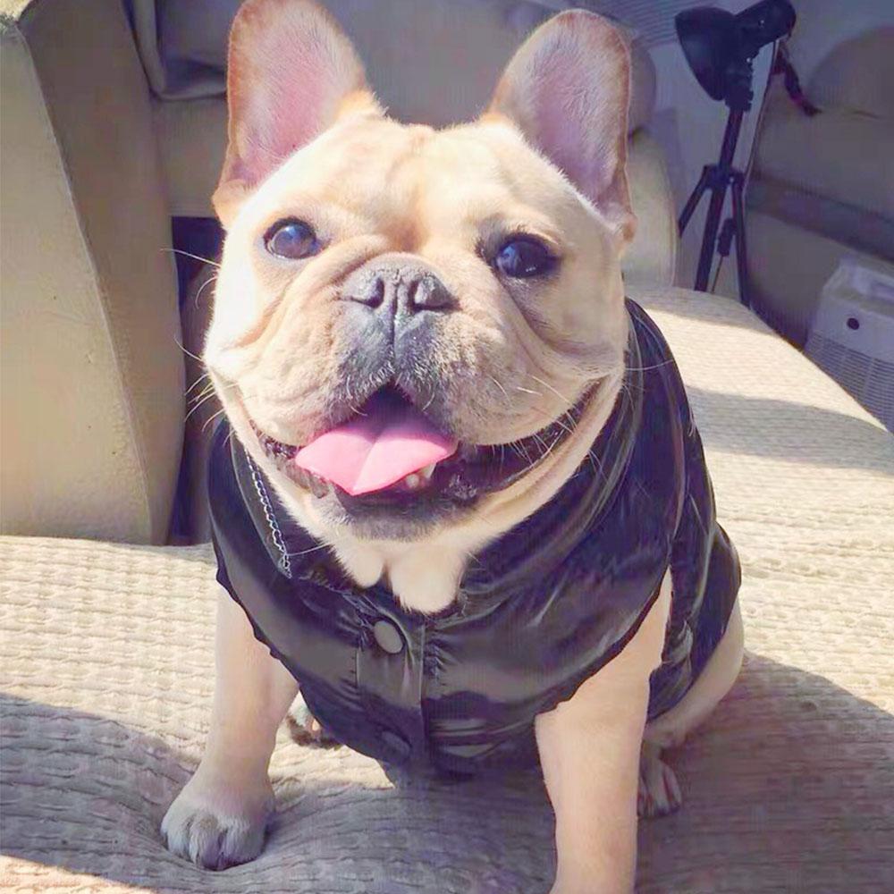 french bulldog puffer jacket vest - Frenchiely