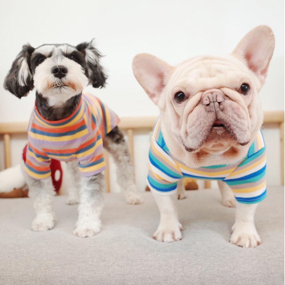 french bulldog Rainbow outerwear Shirts - Frenchiely