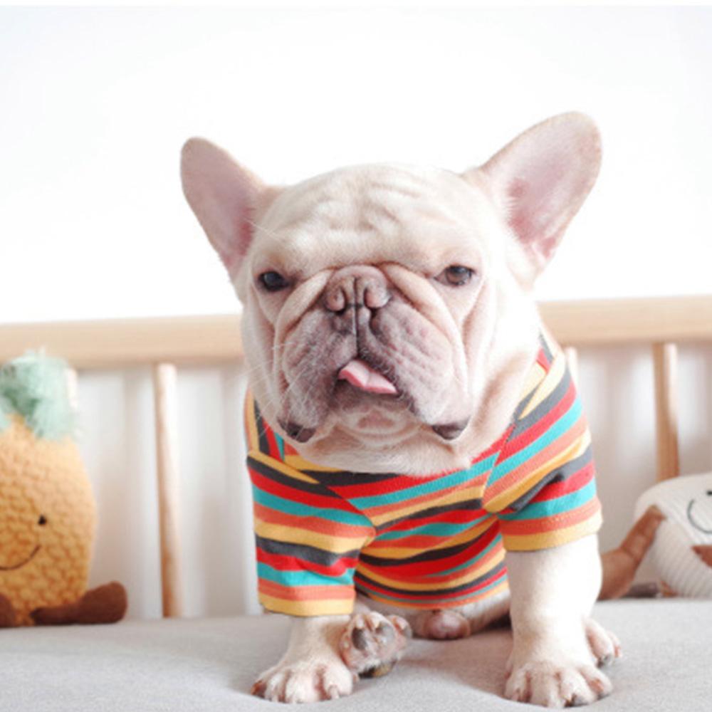 french bulldog Rainbow outerwear Shirts - Frenchiely