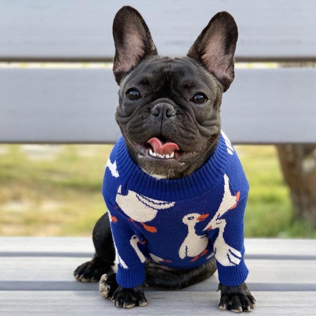 Cartoon Goose Soft Dog Sweaters - Frenchiely