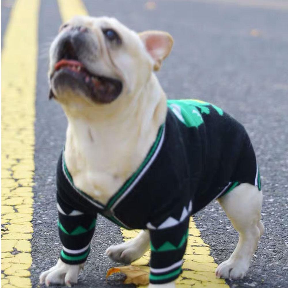 Cartoon Dinosaur Bulldog Sweater Knitting Pattern - Frenchiely