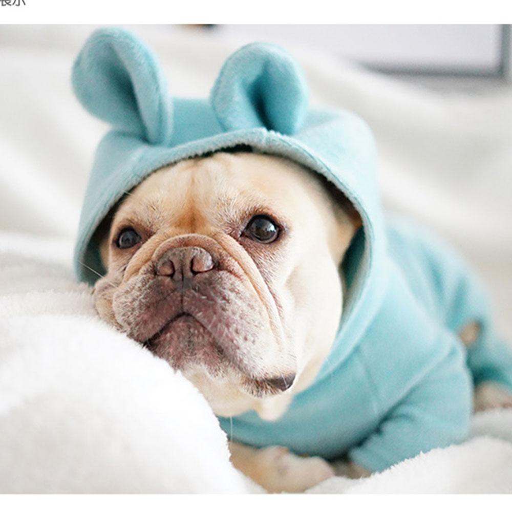 Tiffany Blue Frenchie PJs for Dogs with Bunny Ears - Frenchiely