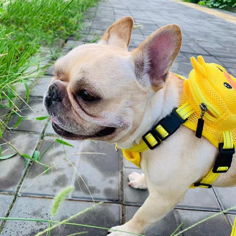 Cartoon Duck Mesh Backpack Harness Bag with Leash - Frenchiely