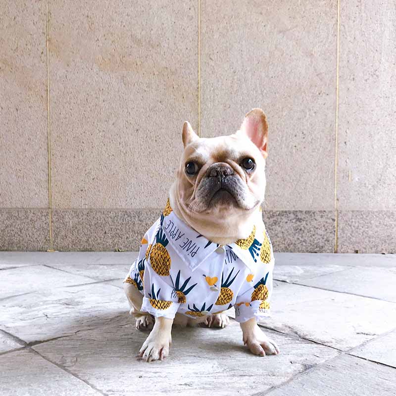 Pineapple Hawaiian Collared Dog Shirts - Frenchiely