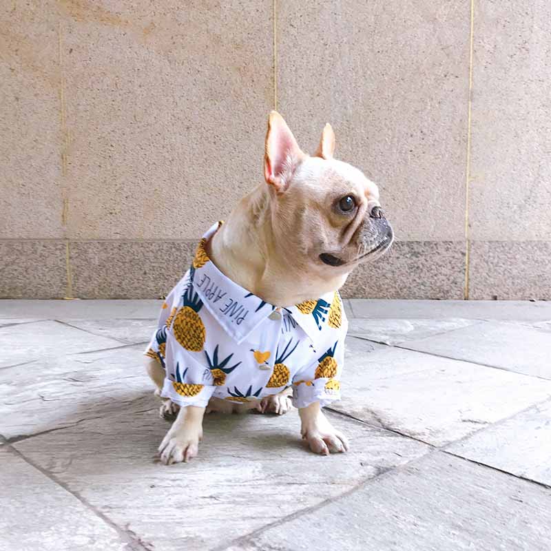Pineapple Hawaiian Collared Dog Shirts - Frenchiely