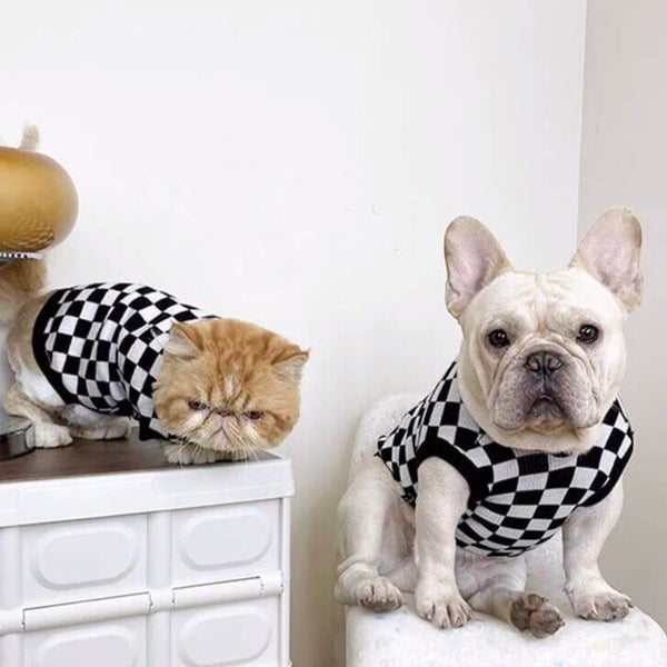 Dog Pullover Sweater for Small Medium Dogs by Frenchiely 
