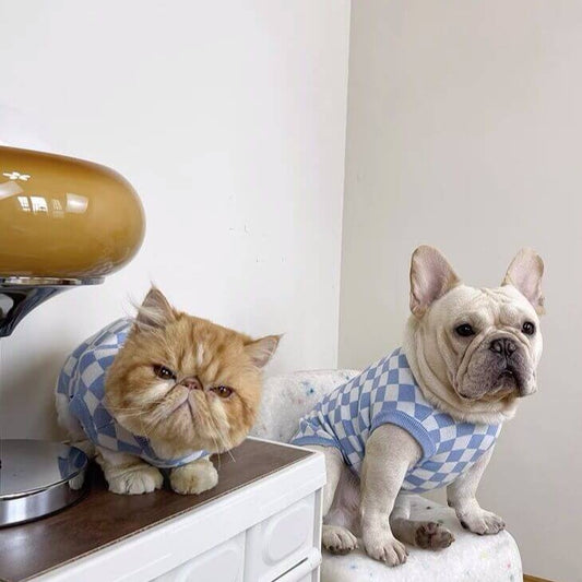 Dog Pullover Sweater for Small Medium Dogs by Frenchiely