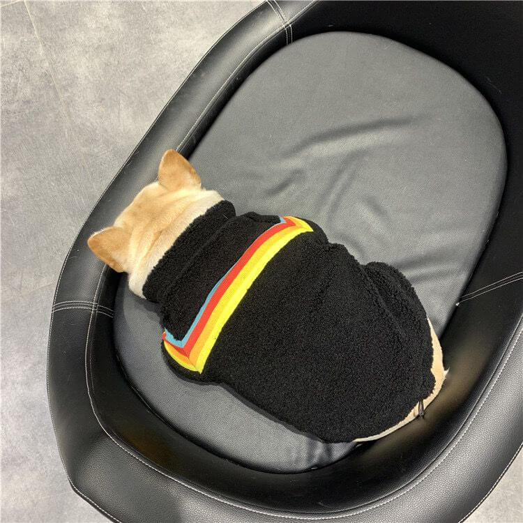 Dog Black Rainbow Zipper Up Jacket Coat BY FRENCHIELY 