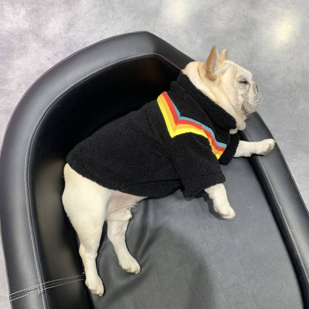 Dog Black Rainbow Zipper Up Jacket Coat BY FRENCHIELY 