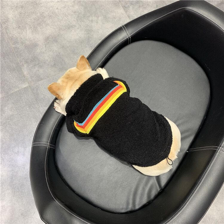Dog Black Rainbow Zipper Up Jacket Coat BY FRENCHIELY 
