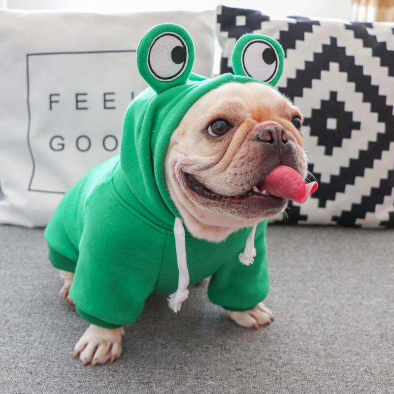 Frenchiely dog cartoon frog hoodie coat 01