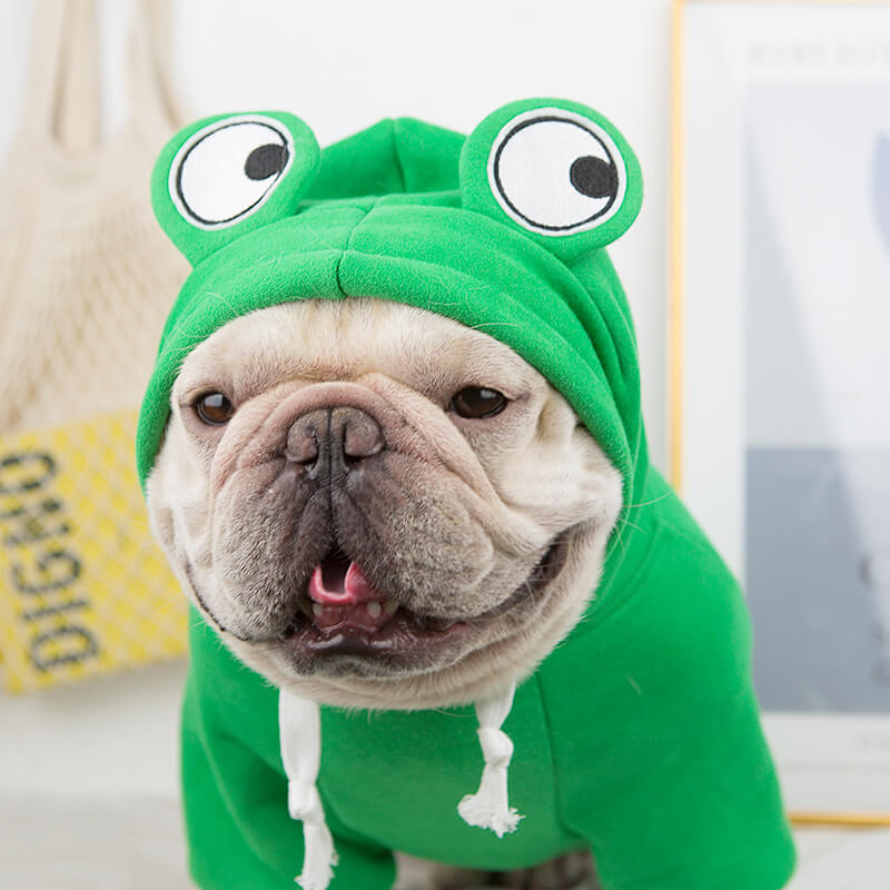 Frenchiely dog cartoon frog hoodie coat 0