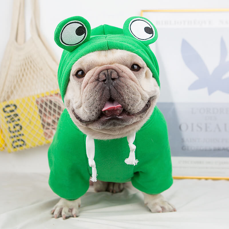 Frenchiely dog cartoon frog hoodie coat 0