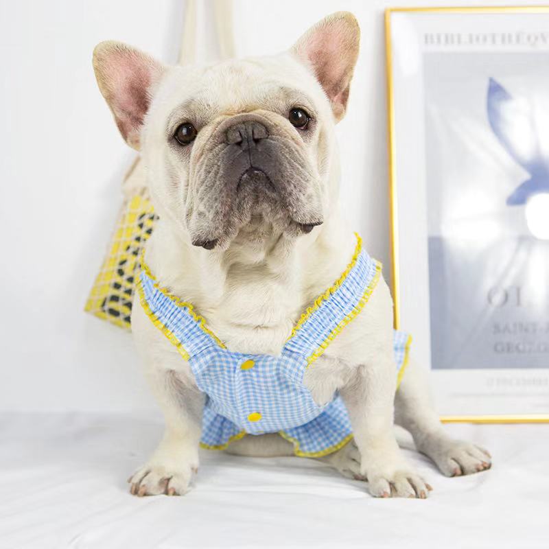 Dog Strawberry Dress with Knitted Bag - Frenchiely