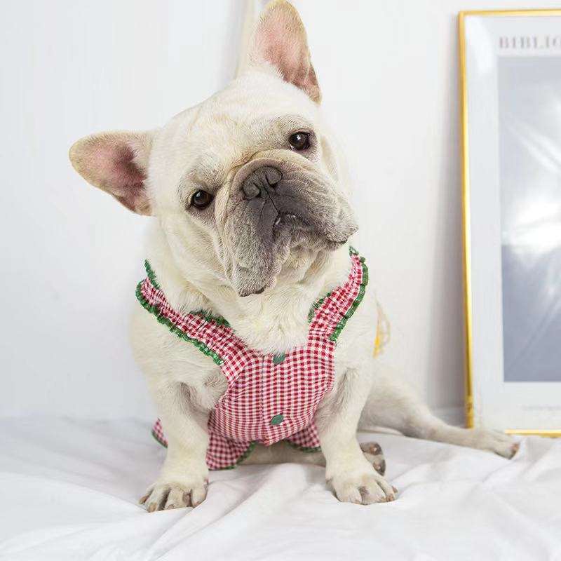 Dog Strawberry Dress with Knitted Bag - Frenchiely