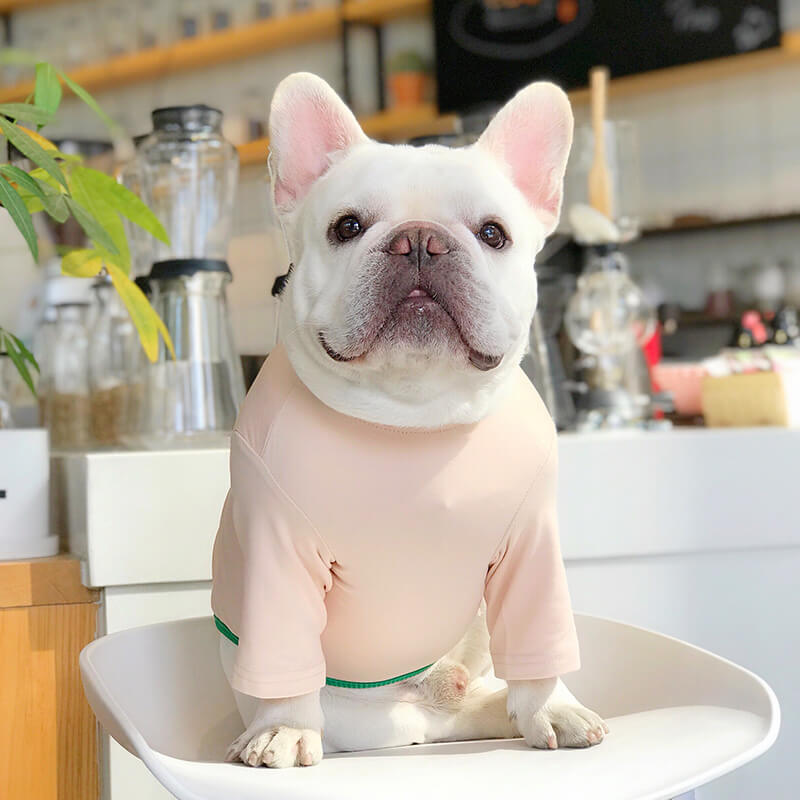 Dog 'Cheese' 'Peanut Butter' Shirt for Bulldog - Frenchiely