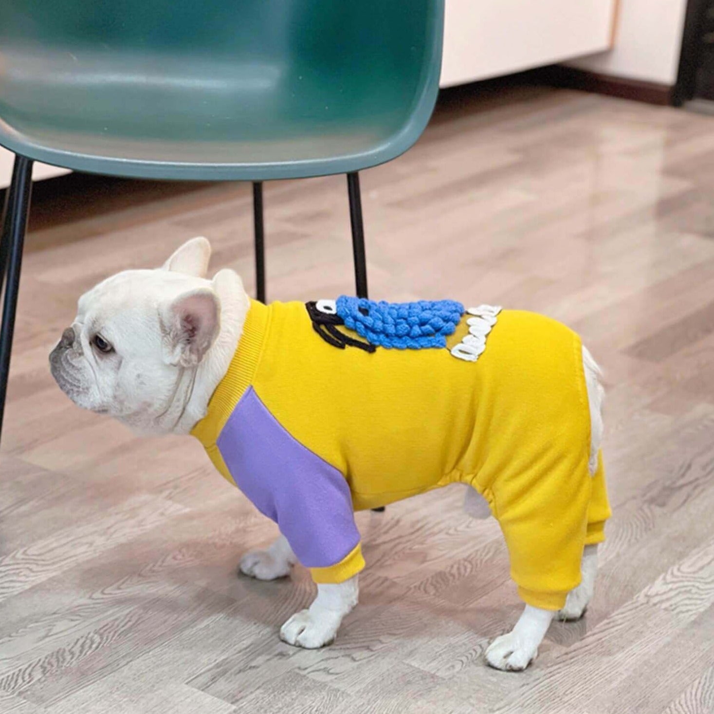 Dog Winter Pajamas Jammies BY FRENCHIELY.COM
