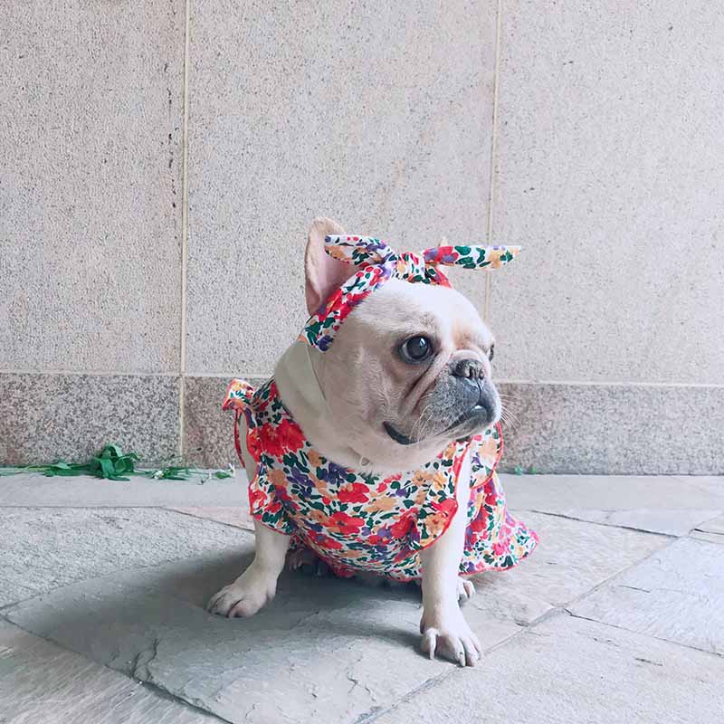 dog retro vintage floral dress - Frenchiely