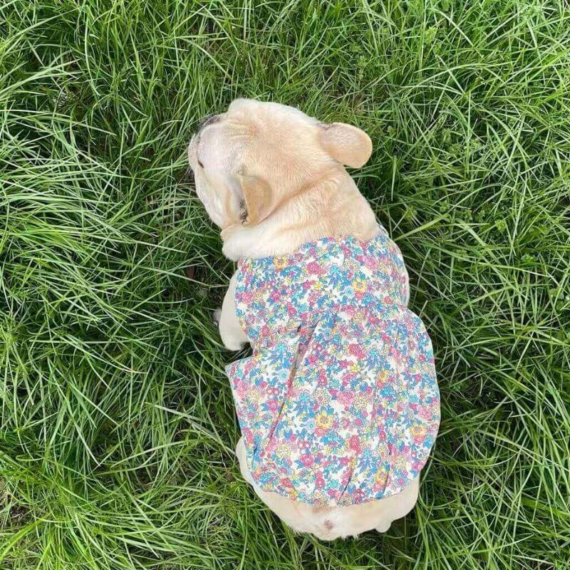 Dog Floral Dress for small medium dogs by Frenchiely 