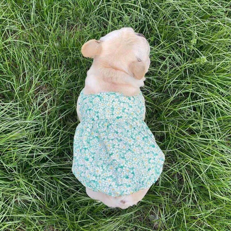 Dog Floral Dress for small medium dogs by Frenchiely 