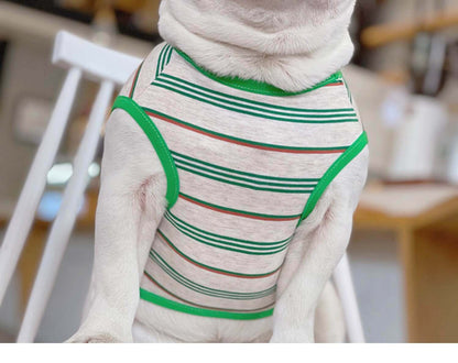Dog Green Striped Shirt FOR MEDIUM SIZED DOGS BY FRENCHIELY