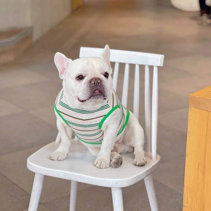 Dog Green Striped Shirt FOR MEDIUM SIZED DOGS BY FRENCHIELY