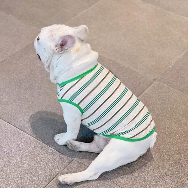 Dog Green Striped Shirt FOR MEDIUM SIZED DOGS BY FRENCHIELY