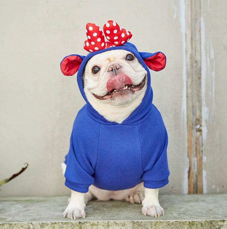 Dog Cartoon Hoodie for Medium Sized Dogs by Frenchiely.com