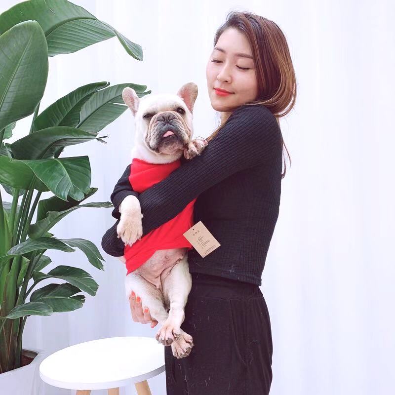 Dog Stylish Cotton Shirt ' Essentials' - Frenchiely