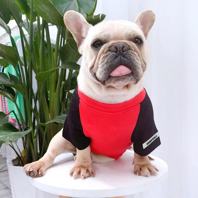 Dog Stylish Cotton Shirt ' Essentials' - Frenchiely