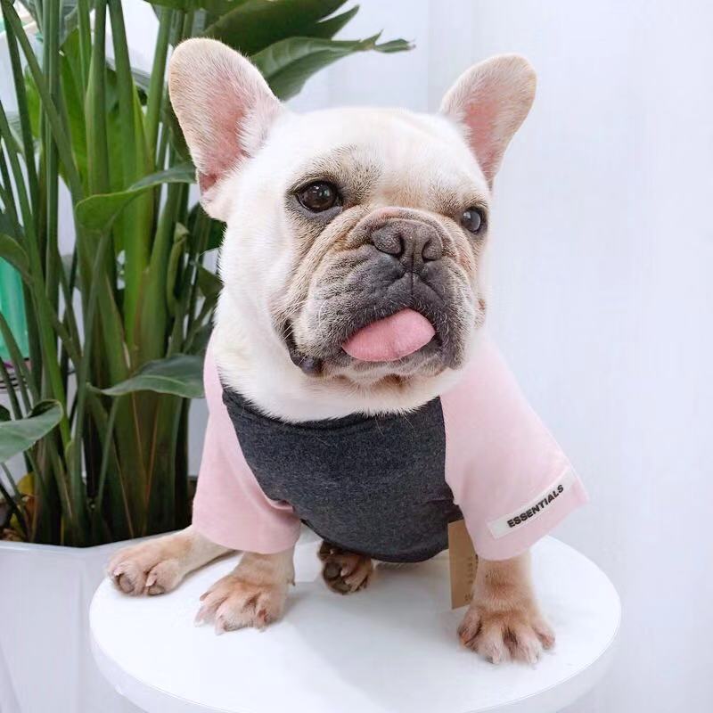 Dog Stylish Cotton Shirt ' Essentials' - Frenchiely