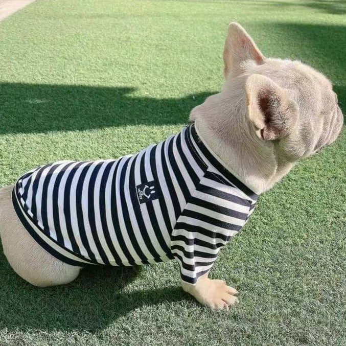 Dog Human Matching Stripe Shirts - Frenchiely 