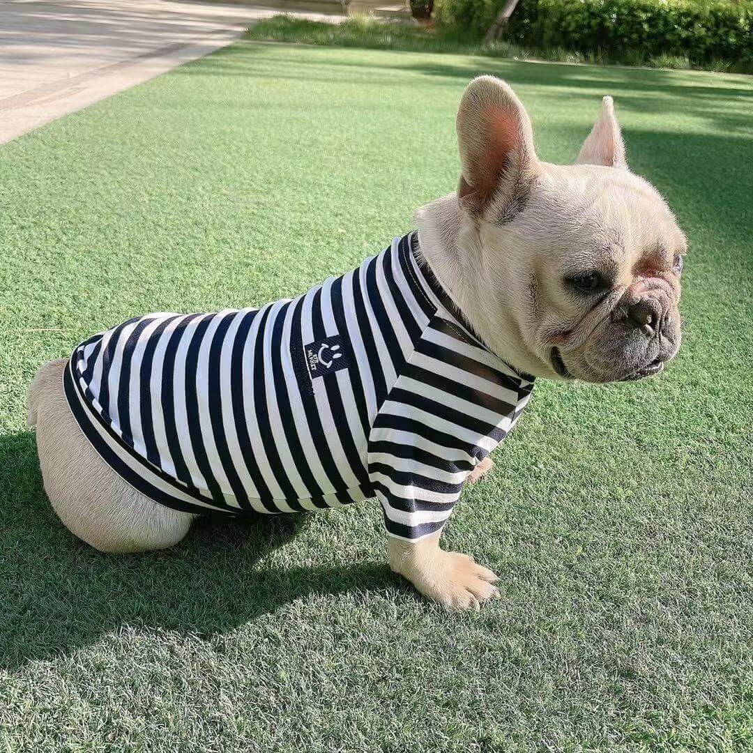 Dog Human Matching Stripe Shirt - Frenchiely