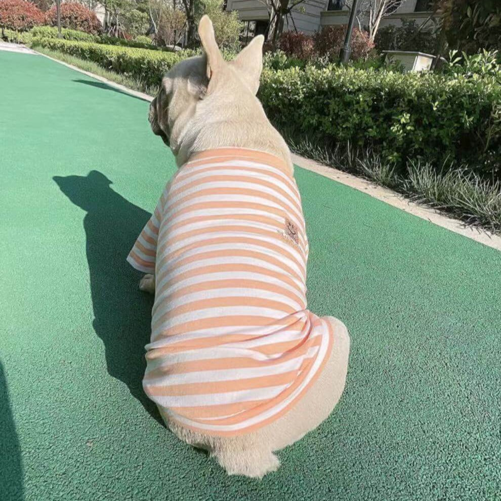 Dog Human Matching Stripe Shirts - Frenchiely 