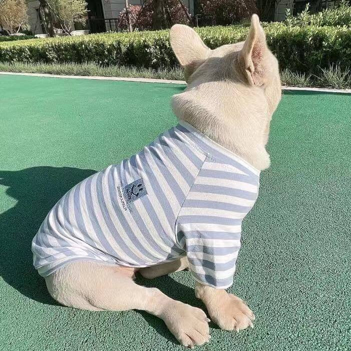 Dog Human Matching Stripe Shirts - Frenchiely 