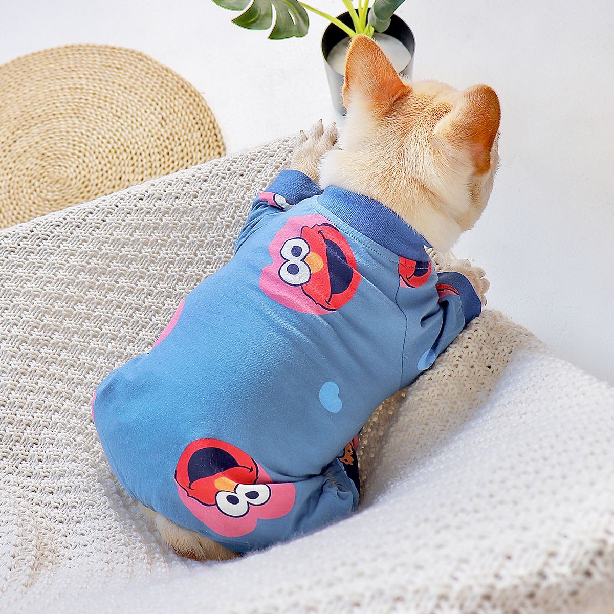 dog cartoon blue pajamas 