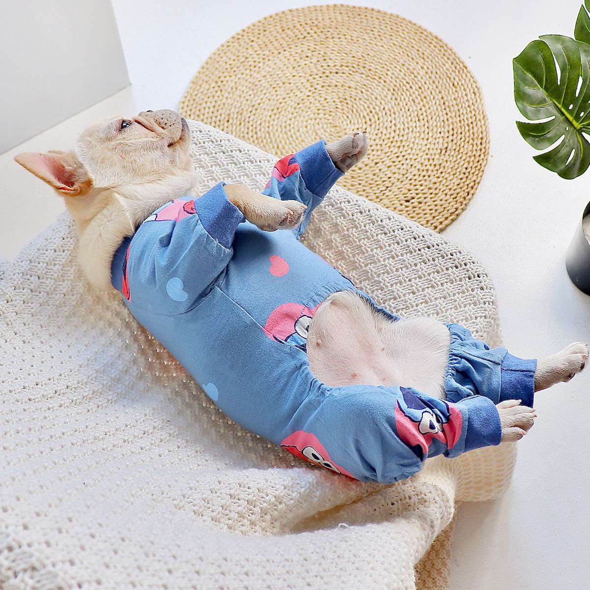 puppy jumpsuit pajamas for small dogs