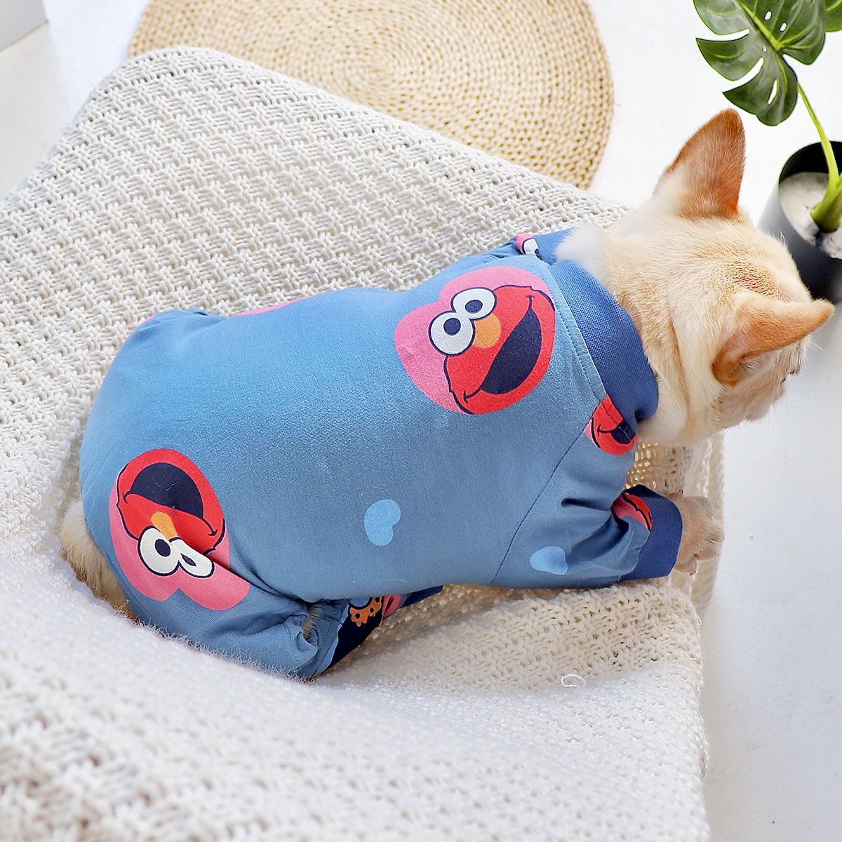 french bulldog puppy onesie PJs