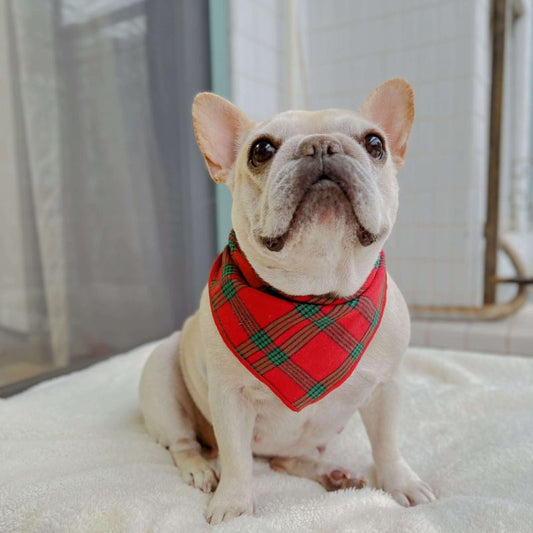 Dog Plaid Bandana scarf for small medium dogs by Frenchiely