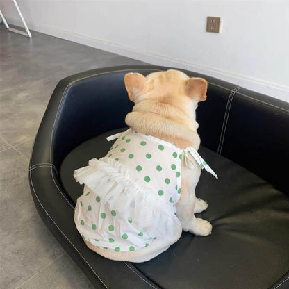 Dog Polka Dress tutu for small medium dogs by Frenchiely 