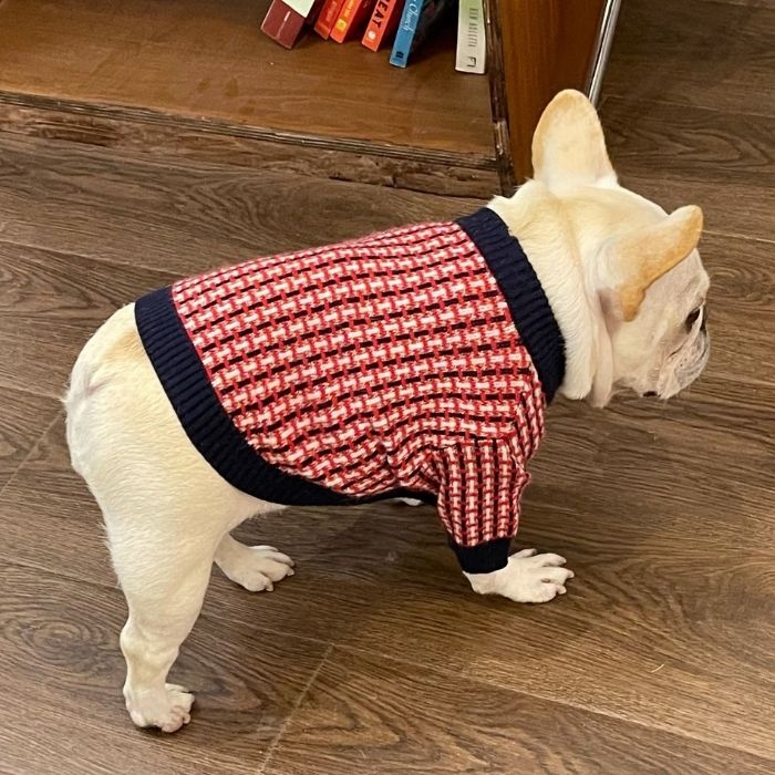 Dog Red Plaid Sweater for French Bulldogs BY FRENCHIELY
