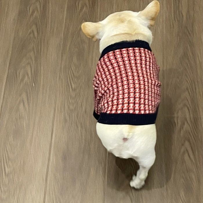 Dog Red Plaid Sweater for French Bulldogs BY FRENCHIELY