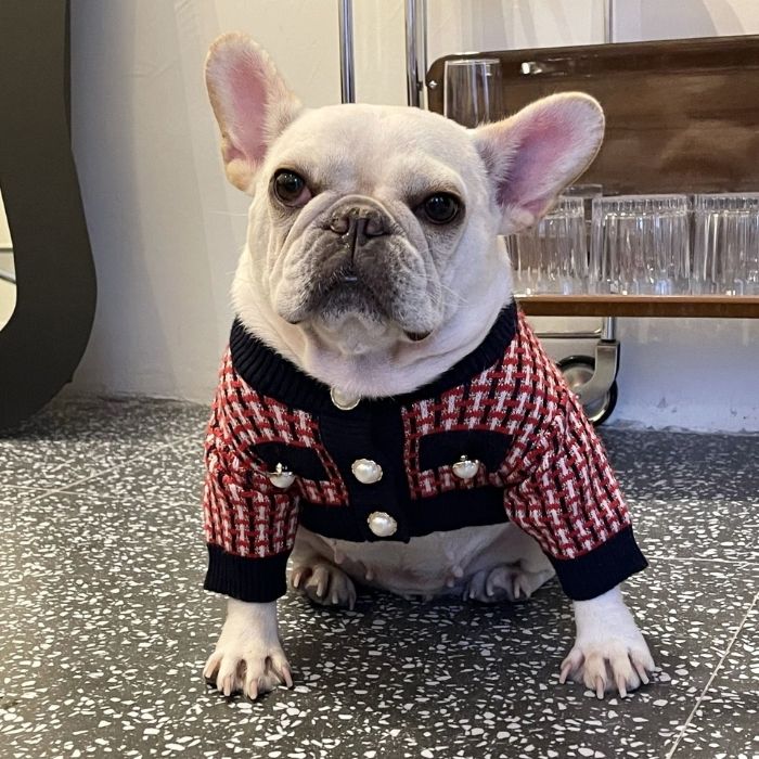 Dog Red Plaid Sweater for French Bulldogs BY FRENCHIELY