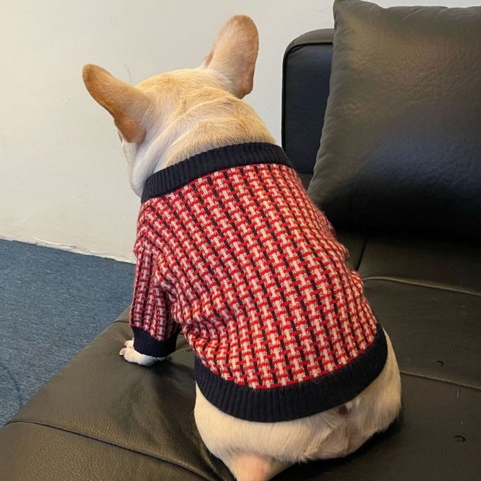 Dog Red Plaid Sweater for French Bulldogs BY FRENCHIELY