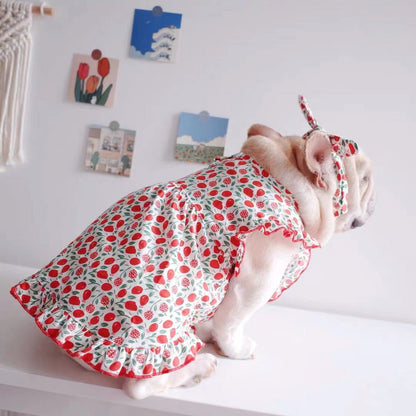 dog retro strawberry dress with headband