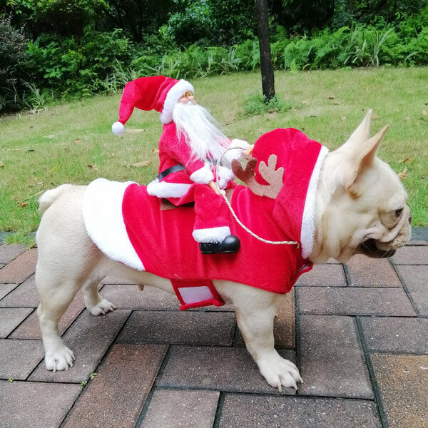 French Bulldog Santa Clause Costume Outfits