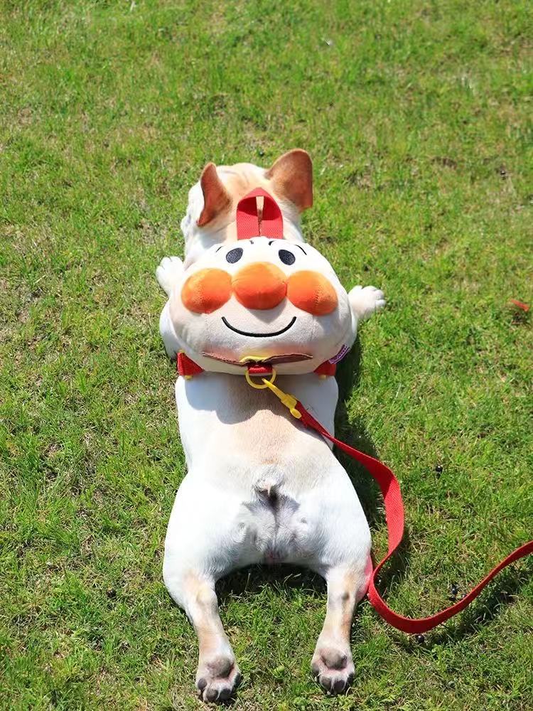Dog Pet Travel Self Backpack with Leash - Frenchiely