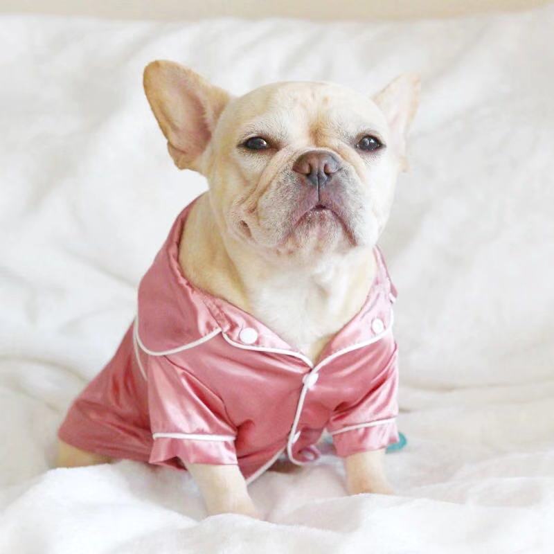 Dog Silk Pajamas Shirt for Frenchies - Frenchiely